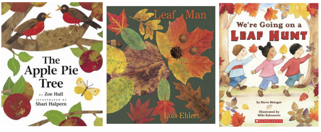 picture of fall speech therapy books